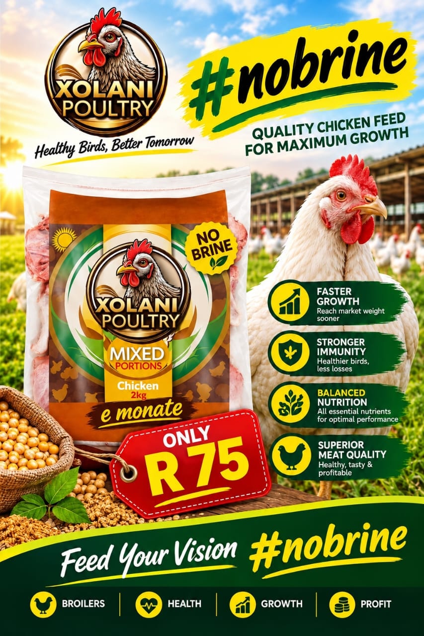 Fresh chicken meat cuts